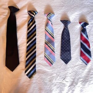 Elegant Tie Collection in Bold Colors